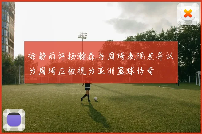 徐静雨评杨瀚森与周琦表现差异认为周琦应被视为亚洲篮球传奇